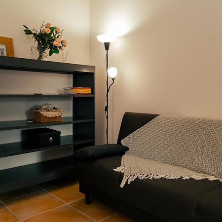 La Terrazza Sul Reno - In Pieno Centro-Due Passi Da Villa Chiara - Comodo Unipol Arena Casalecchio Di Reno Luaran gambar